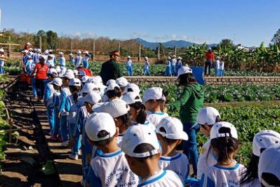 Trường MN Hoa Hồng tổ chức thành công buổi tham quan doanh trại bộ đội nhân kỷ niệm Ngày thành lập quân đội nhân dân Việt Nam 22/12