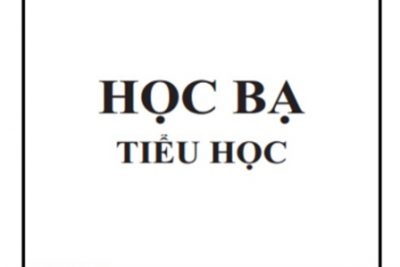 Mẫu học bạ mới và Bảng tổng hợp kết quả đánh giá giáo dục theo Dự thảo thông tư Quy định đánh giá và xếp loại học sinh tiểu học