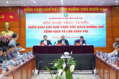 Các giải pháp cấp bách khống chế bệnh Dịch tả lợn Châu Phi